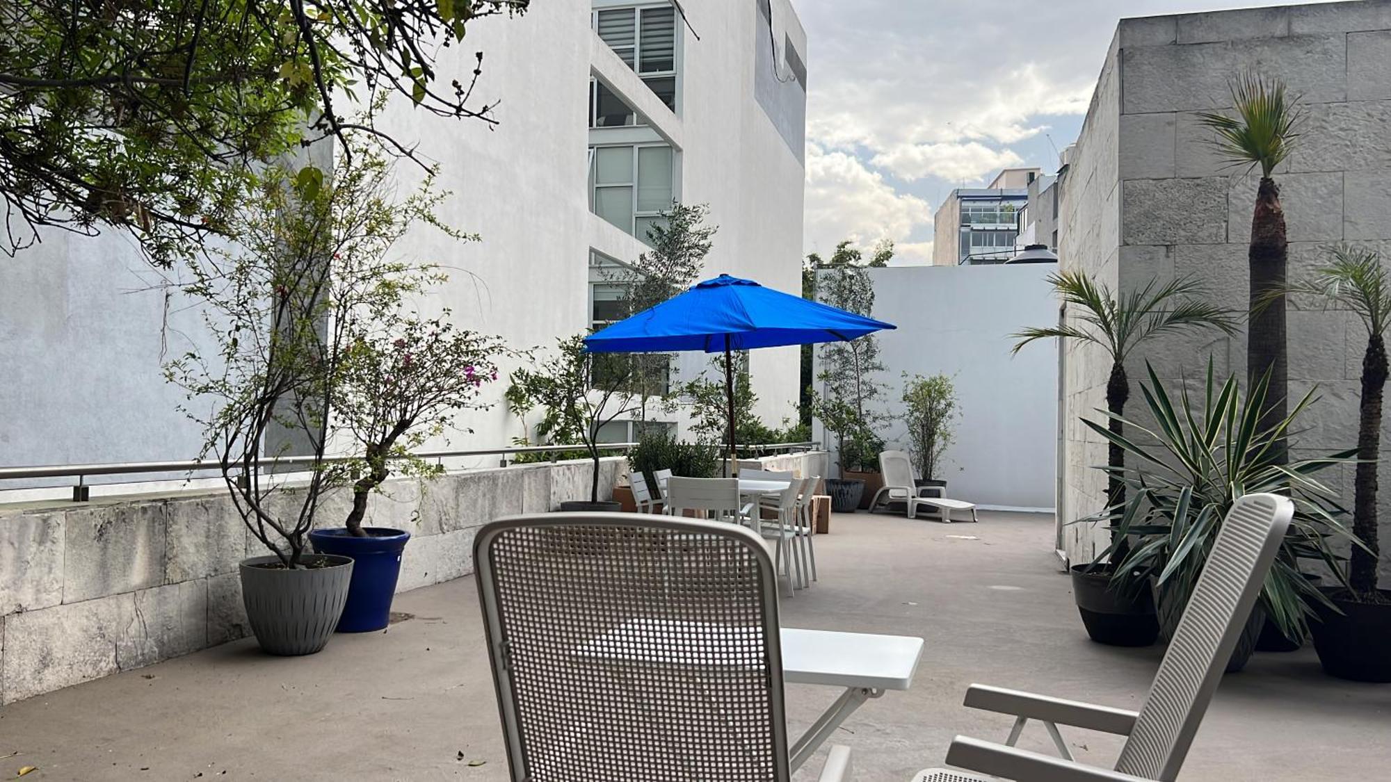 Condesa Residence Amsterdam D Sunny 2Bed 1Bath Apt In Condesa Kota Meksiko Bagian luar foto
